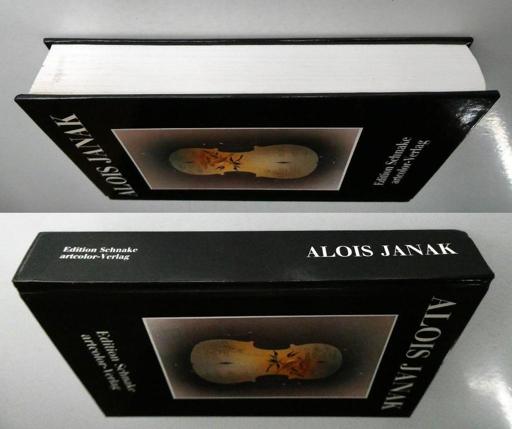 [USED] Used ALOIS JANAK Works Collection 1990 Foreign Book