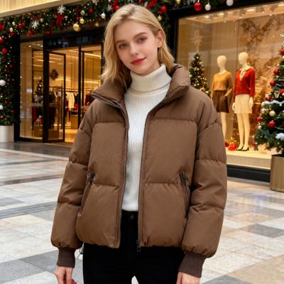 Mantolar ve ceketler – Ceketler