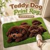 Absorbent Teddy Dog Print Rug Diatomite Entryway Rug Cartoon Floor Mat  Home Decor