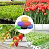 10 Stück Klonkragen Hydroponische Schwämme Wiederverwendbarer Schaumstoff DIY Kloner Einsätze Passend für Netztopfe für Klonmaschinen Pflanzenkeimung