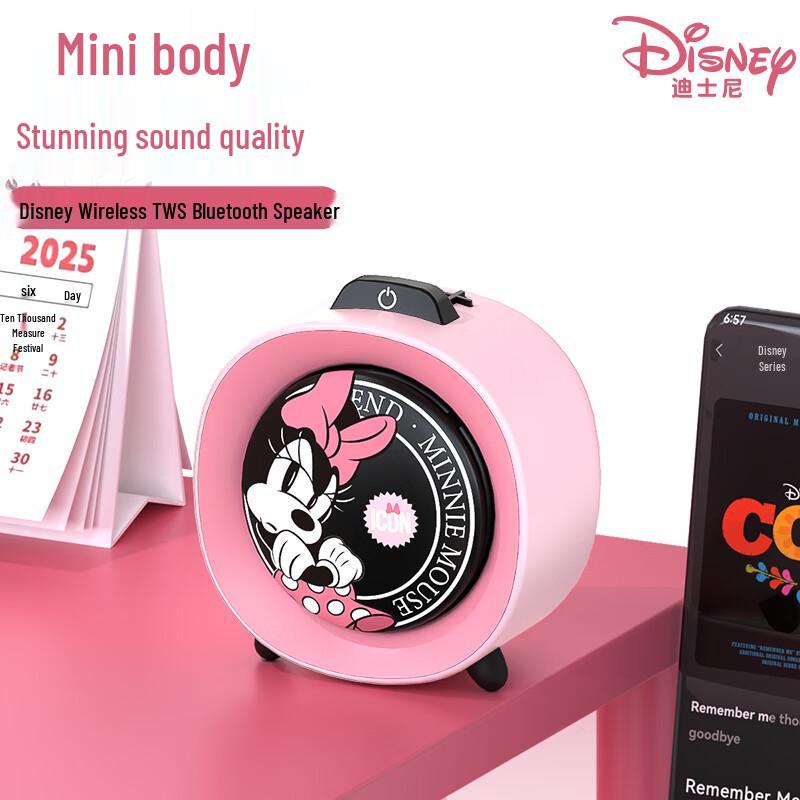 Disney Character Bluetooth Speakers & Kids Early Learning Devices