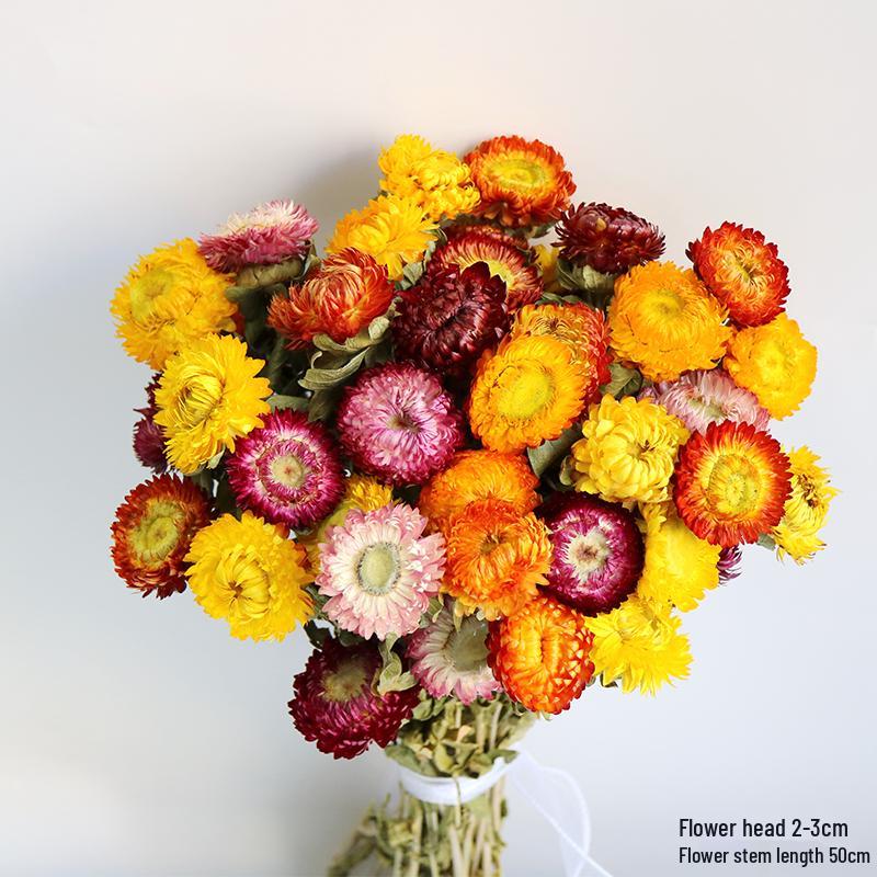 Daisy Dried Flower Bouquet for Living Room and Bedroom Décor - Natural Yunnan Flowers for Display or Photo Props