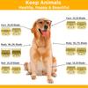 Cães – Produtos para cuidar do pelo de cães