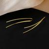Metal style new geometric ear hook fashion niche ins temperament earrings high-end simple earrings wholesale