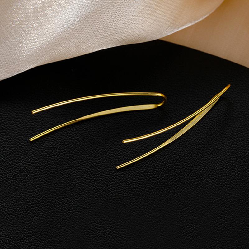 Metal style new geometric ear hook fashion niche ins temperament earrings high-end simple earrings wholesale