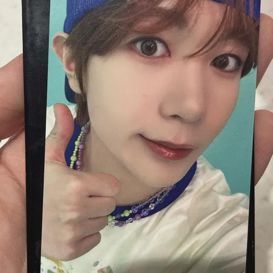 

Ncitywish Эверленд Миссия Тюлень Рё