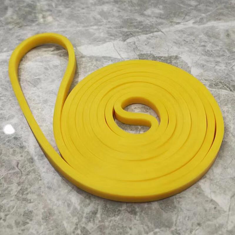 Fitness Resistance Loop Band