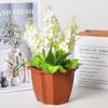 MOJY Octagonal Plastic Flower Pot