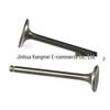 Intake & Exhaust Valve Kit for GY6 50cc-150cc Off-Road Motorcycles