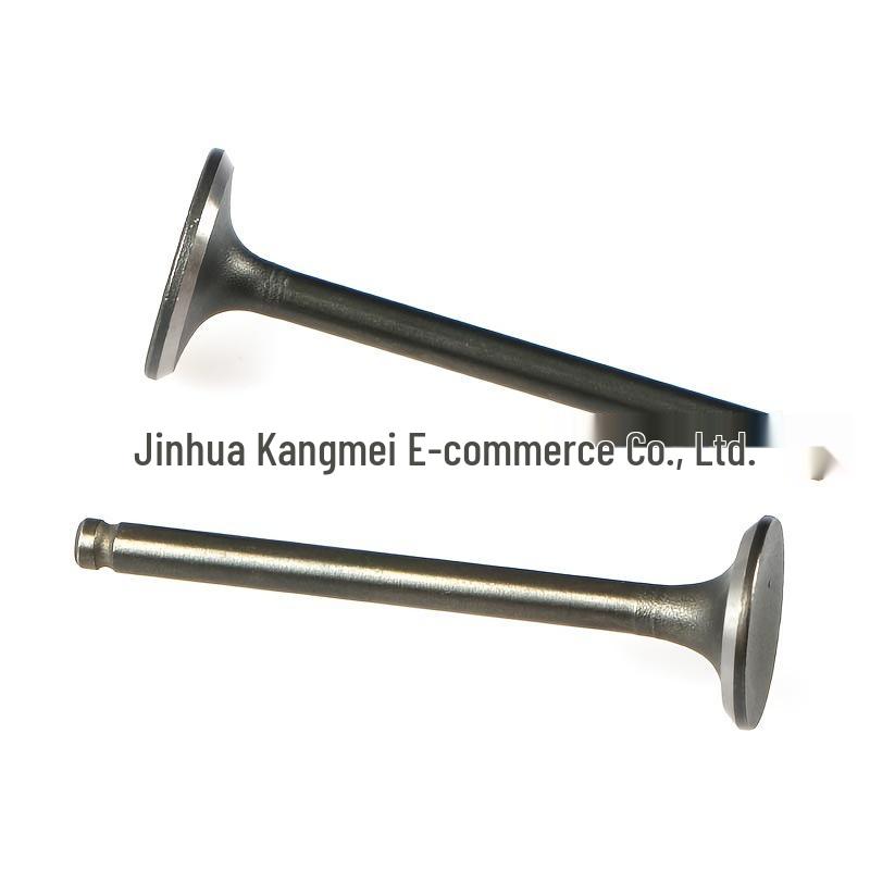 

Intake & Exhaust Valve Kit for GY6 50cc-150cc Off-Road Motorcycles 0