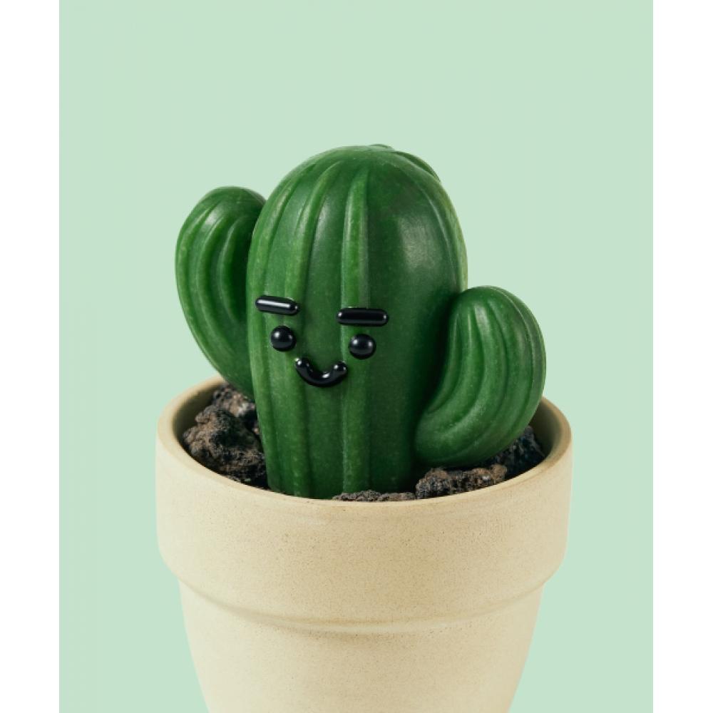 Donggubat [Spezial-Set] All-in-One Parfümöl-Riegel + Kaktus-Riegel Objekt Geschenkset