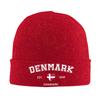 Denmark Est 1849 Knitted Hat Beanie Hats Outdoor Thermal Elastic Unisex Adult Bonnet Hats Autumn Winter Printed Hip Hop Caps