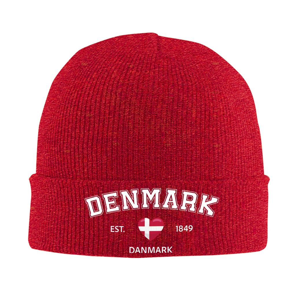 Denmark Est 1849 Knitted Hat Beanie Hats Outdoor Thermal Elastic Unisex Adult Bonnet Hats Autumn Winter Printed Hip Hop Caps