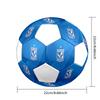 1PC Lech Poznan Poster Size 5 Soccer Ball PrahaIndoor Soccer Ball Colorful All Ages Machine Stitched PVC Competition Ready Durable High-Bounce