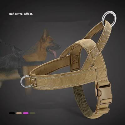 Perros – Collares y correas