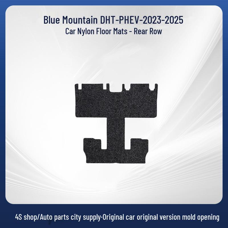 Removable Nylon Floor Mats for Blue Mountain DHT-PHEV-23-25 Cars