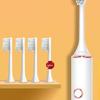 Bao Brand BP-T66 Health & Travel Essentials Gift Set