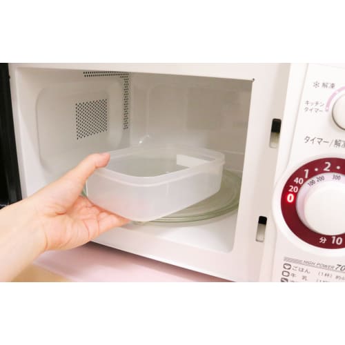 Lastro Snack Case, Large, 1.19L, B-1805, 031098