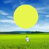 72 Inch Huge Balloons Giant Latex Performance Decor Balloon Party Celebration Festival Decorations Christmas Wedding Decor