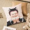 PPark JJinYYoung Funny Meme Pillow Case Antidustmite Invisible Zipper Sofa Bed