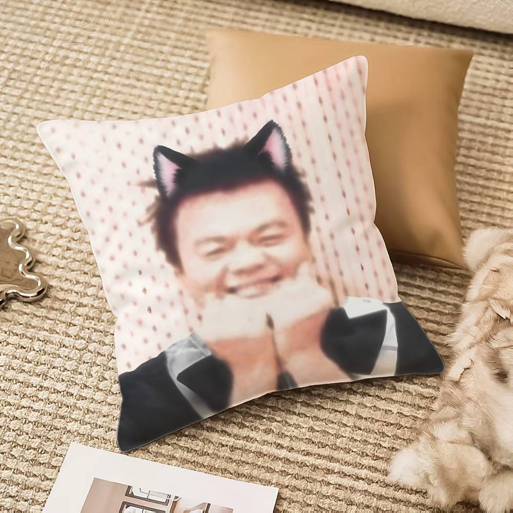 PPark JJinYYoung Funny Meme Pillow Case Antidustmite Invisible Zipper Sofa Bed