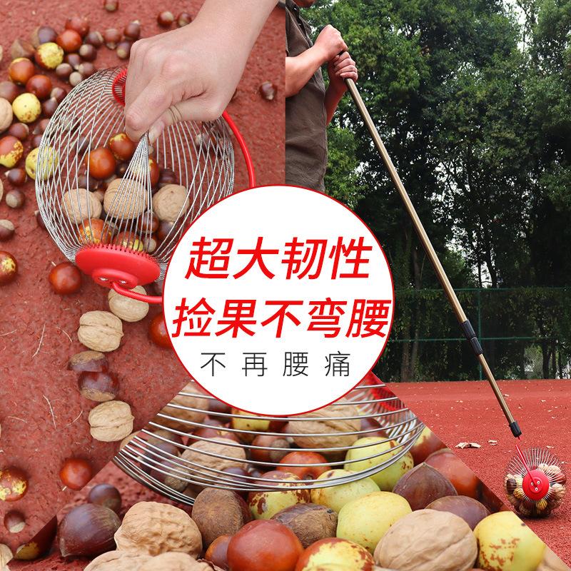 Fruit Collector, Fruit Picker, Fast Fruit Picking Tool, Chestnut Picking Tool, Pecan Picking Tool, Chestnut Nut Picking Tool