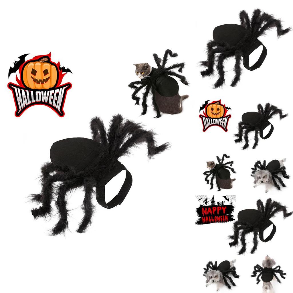 Cute And Funny Pet Spider Costume For Halloween