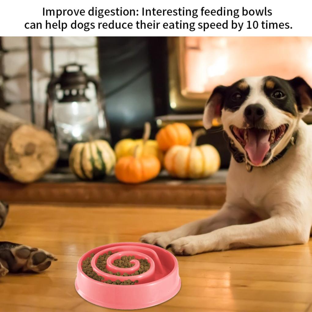Dog Feeding Bowl Pet Prevent Choking Slow Feeder Anti-Bloat Eating Habit Training Bowl PP Dish Pet Dog Supplies