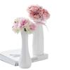 Nordic Minimalist White Ceramic Vase for Hydroponic and Dried Flower Arrangements in Modern Living or Dining Spaces