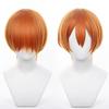 Eileen Love Live! Hoshizora Rin Cosplay Wig, Heat-Resistant, Anime, Halloween, Christmas, Disguise Wig, School Festival [Includes Net]