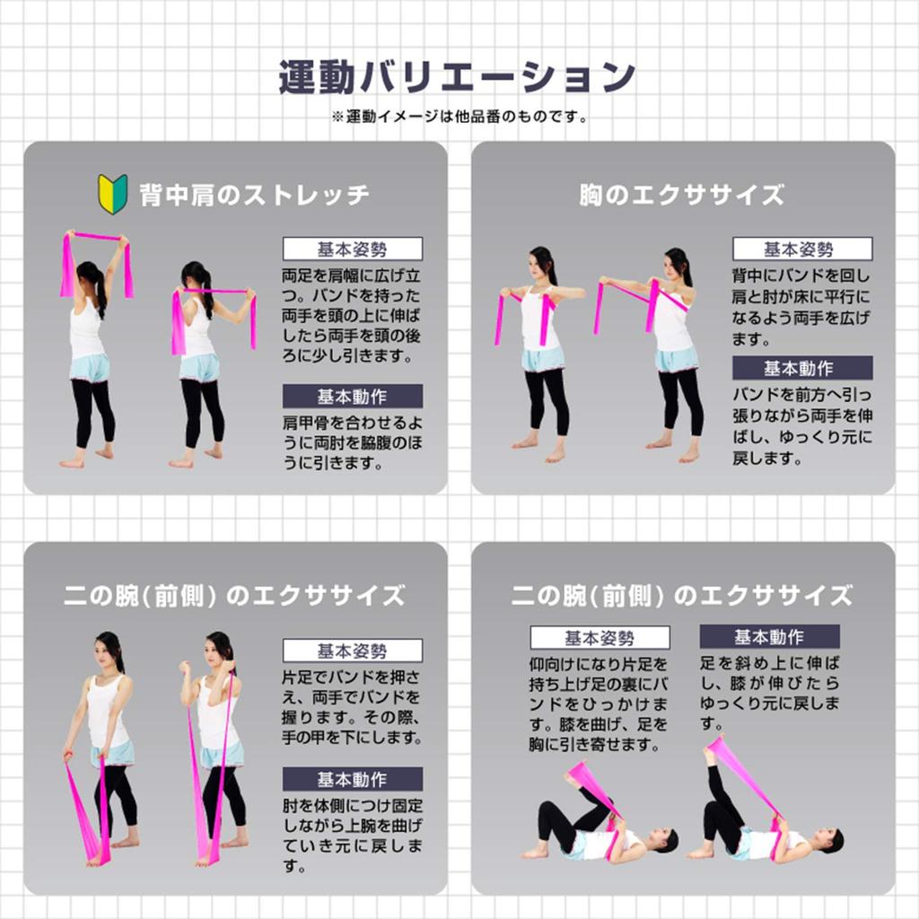 ALINCO Training Tube Exercise WBN012 Band, Hard,