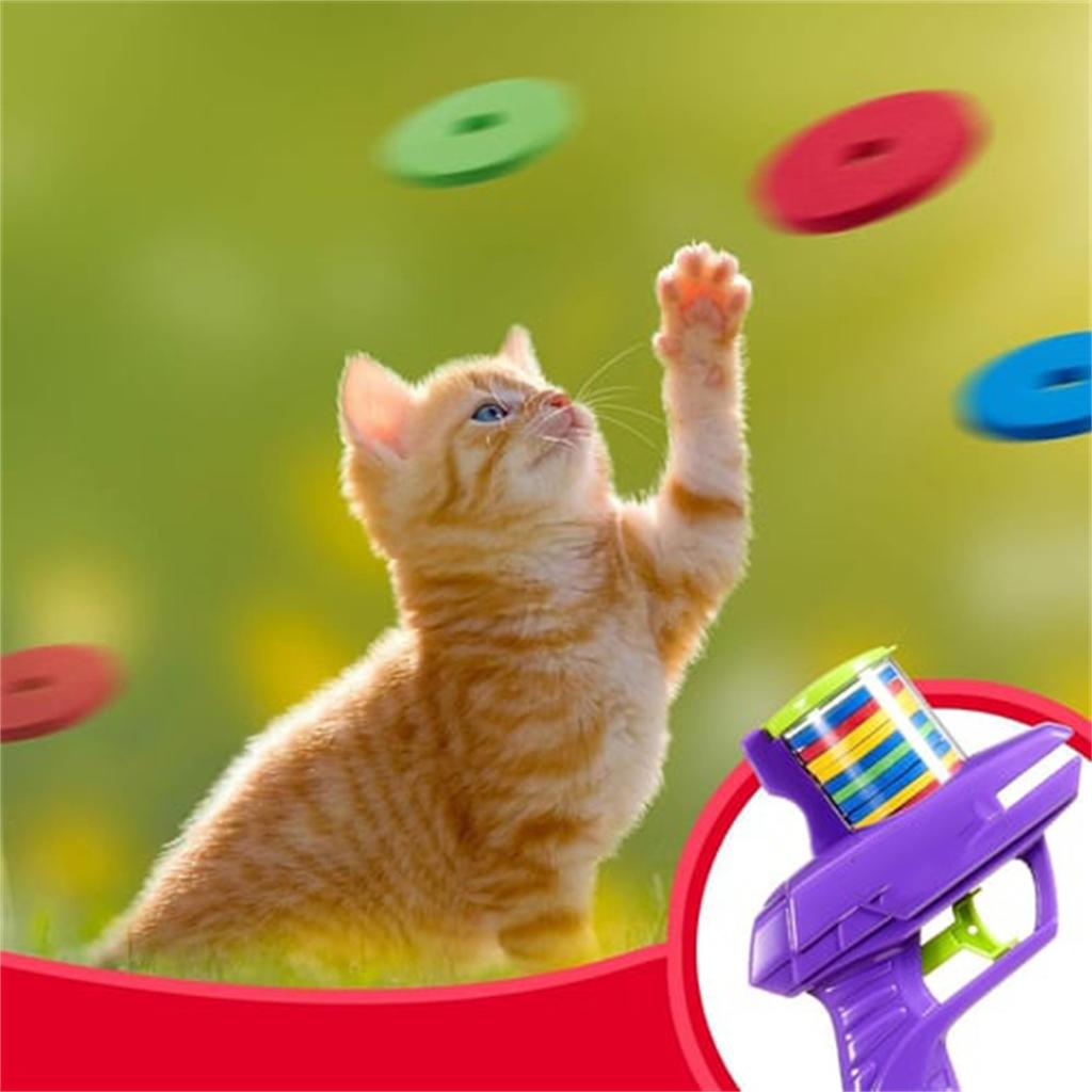 Pěnový disk Play Toy Disc Venkovní hračka pro děti Dárky Hračka(Zelená, Fialová)