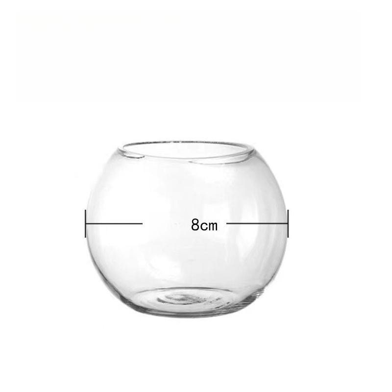 Slanted Opening Glass Vase Micro Landscape Container Terrarium Moss Ecological Bottle Succulent Hydroponic Pot Desktop Decor