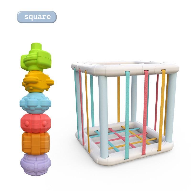 Montessori Baby Toys 18 Months Sensory Development Learning Educational Toys Colorful Blocks Sorting Game For Babies Infant
