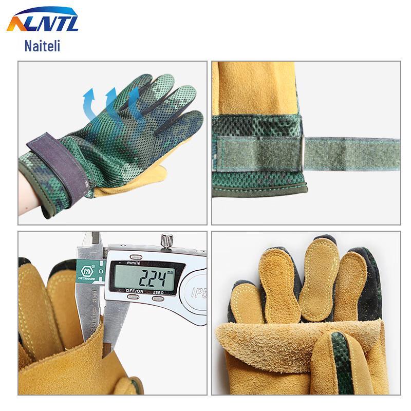 NLNTL Outdoor Climbing and Safety Rope