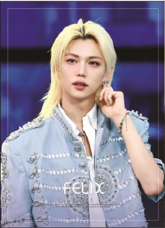 Stray Kids Felix Merchandise Photobook Premium Photo Book (FELIX 2)