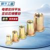 Color Zinc Flat Head Rivet Nuts