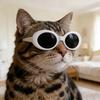 3Pcs Retro Cat Glasses Lightweight Oval Frame Pet Sunglasses Stylish Pet Shades for Cats Small Dogs Photo Prop