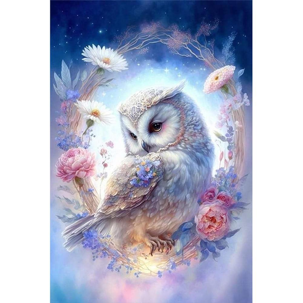 

Paint By Numbers Kit On Canvas DIY Oil Art Owl Picture Home Wall Decor40x60cm ~G