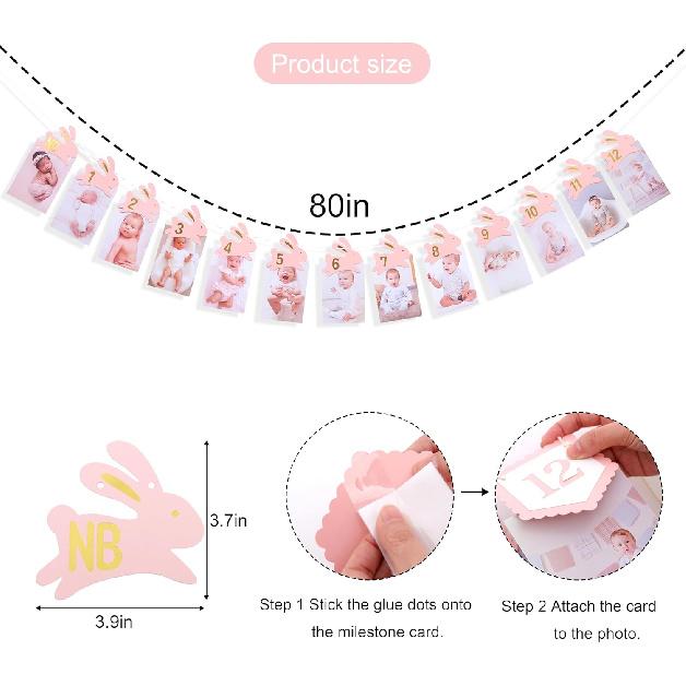 Bunny 1st Birthday Monthly Milestone Photo Banner - Some Bunny Is One Newbron To 12 Months Photo Banner for Grils, Easter 1st Birthday Decorations,