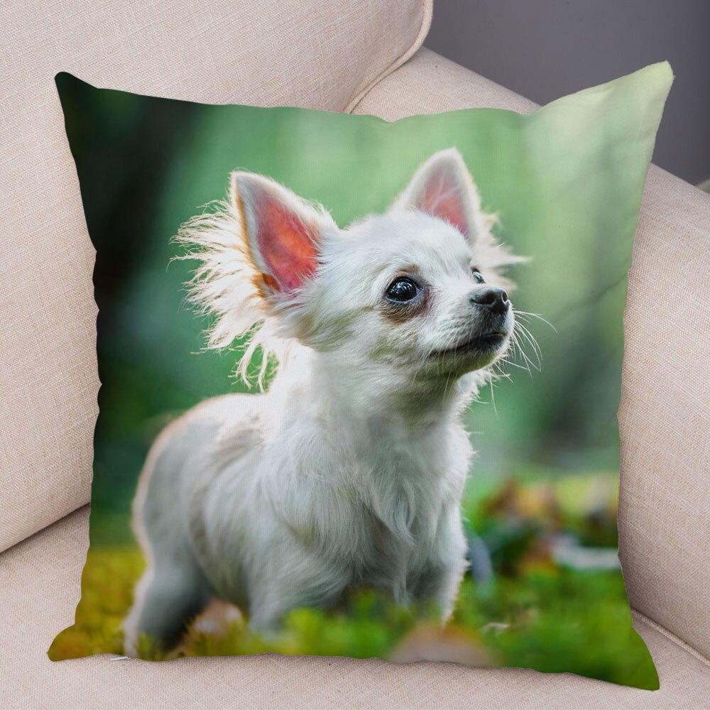 Cute Pet Animal Pillowcase Decorative Cute Puppy Chihuahua Pillowcase Soft Plush Cushion Cover for Car Sofa Home 45x45cm