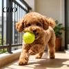 Squeaky Dog Ball Raised Texture Chew Toy Dogs Teeth Cleaning Bite-resistant Relieves Boredom And Anxiety for Puppy Teething Fetch Game Wear-resistant