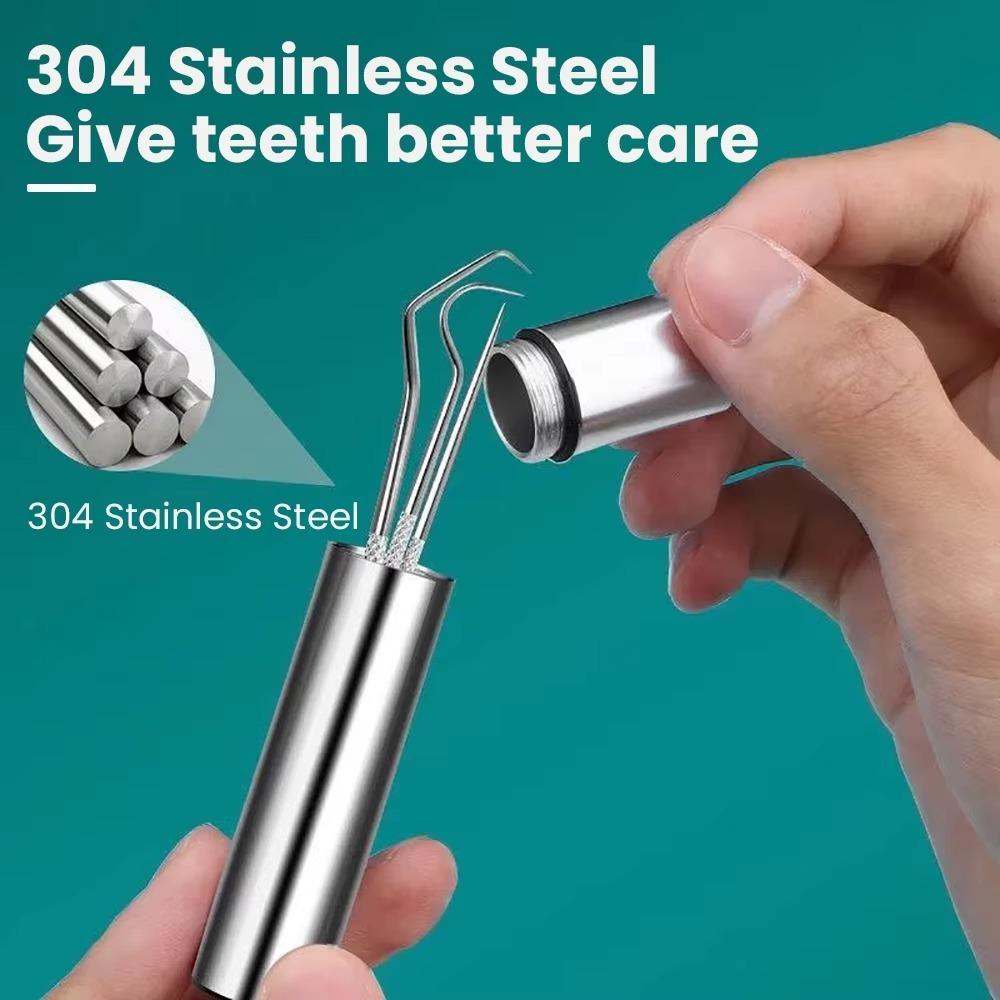 8pcs/set Stainless Steel Toothpicking Tool Silver Floss Needle Dental Needle  Cleaning Oral Care