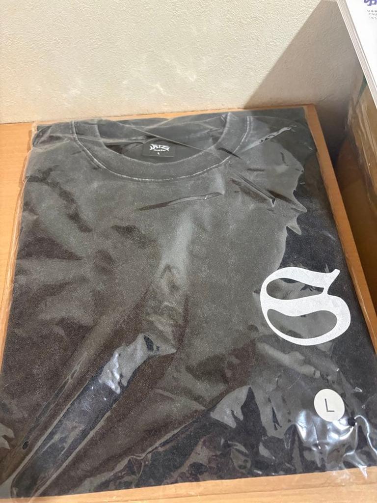 [USED] Stray Kids dominATE JAPAN Long T-shirt, Size L