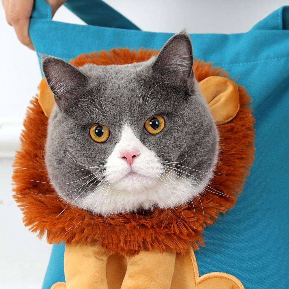 Pet Cat Carriers Lion Design Draagbare ademende tas Katten Hondendraagtassen Uitgaande reizen Huisdieren Handtas met veiligheidsrits