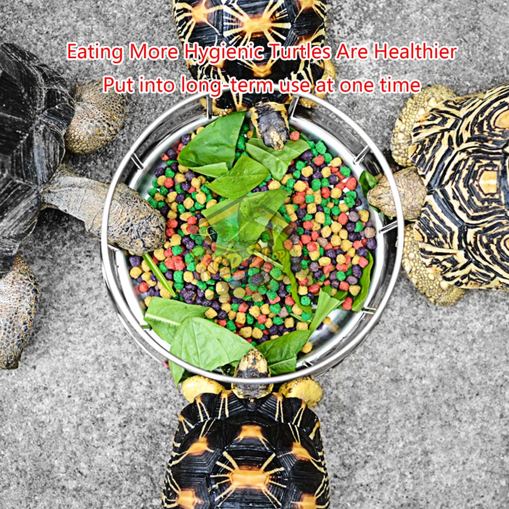 Tortoises Feeder Stainless Steel Dish Water Food Dispenser Feeding Bowl Reptiles Drinking Plate Tray Easy to Clean