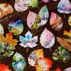 8pcs/Set Observing Leaves Leaves Stickers Adhesive Decorative Sticker  Scrapbooking Diary Planner