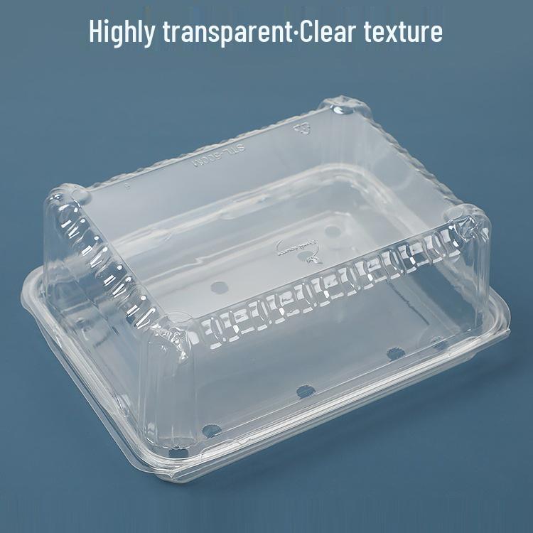 Transparent Disposable Fruit Box with Lid – Food-Grade Plastic, Rectangular, Sturdy for Takeaway, Ideal for Strawberries or Cut Fruit