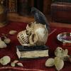 Retro Resin Skull Decor for Halloween Head Statue, Gothic Crow And Book Sculpture, Statue with Spooky Home Party Table Centerpiece Decorative Skulls