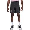 Jordan Paris Saint-Germain Dri-FIT ADV Logo Slim Fit Soccer Shorts Men shorts HQ4209-045